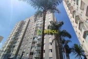 Apartamento com 2 dormitórios à venda, 52 m² por R$ 360.000,00 - Vila Antonieta - São Paulo/SP