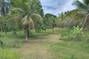 Terreno para Venda em Camaçari / BA no bairro Cajazeiras De Abrantes (abrantes)