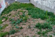 Terreno à venda na Rua José de Oliveira Franco, 1158, Bairro Alto, Curitiba