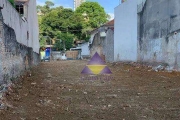 Terreno, 500 m² - venda por R$ 4.000.000 ou aluguel por R$ 20.000/mês - Tatuapé - São Paulo/SP