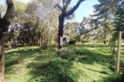 Terreno à venda no Cachoeira