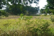 Terreno comercial à venda na Rua Ângelo Vicentim, s/n°, Barão Geraldo, Campinas