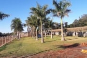 Terreno à venda, 2030 m² por R$ 1.500.000,00 - Gleba Fazenda Palhano - Londrina/PR