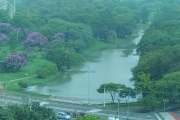 Indaiatuba com vista espetacular para o parque ecológico!