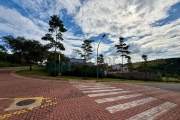 Casa em condomínio fechado com 5 quartos à venda na Avenida Isaura Roque Quércia, s/n, Loteamento Residencial Entre Verdes (Sousas), Campinas
