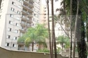 Apartamento Reformado no Morumbi - Conforto e Sofisticação