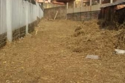 Terreno à venda na Rua Galiléia, 94, Vila Jardim, Porto Alegre