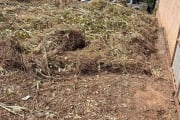 Terreno à venda na Rua Geraldina Cândida de Jesus, 31, Ouro Preto, Belo Horizonte