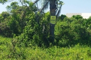 Terreno em Praia para Venda em Balneário Barra do Sul, Salinas