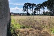 Terreno para Venda em Campo Largo, Loteamento São Gerônimo