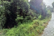 Terreno à venda na Rua João Emília Batista, 1, Saco Grande, Florianópolis