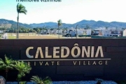 Caledônia  Camboriú