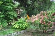 Terreno comercial para alugar na Estrada do Pontal, 2182, Recreio dos Bandeirantes, Rio de Janeiro