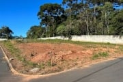 Terreno em condomínio fechado à venda na Rua Flamingos, 232, Gralha Azul, Fazenda Rio Grande