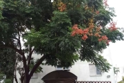 Apartamento conservado e aconchegante para locação no bairro  Catumbi na região da Zona leste de  S