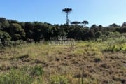 Terreno comercial à venda na Rua Mário Dybas, 117, Cidade Industrial, Curitiba