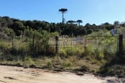 Terreno comercial à venda na Rua Mário Dybas, 117, Cidade Industrial, Curitiba