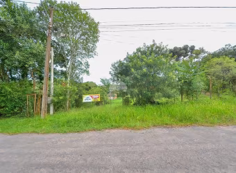 Terreno à venda na Rua Hilário Moletta, 73, Borda do Campo, São José dos Pinhais, 432 m2 por R$ 119.900