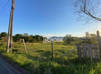 Terreno à venda, 19199 m² por R$ 3.000.000,00 - Mulde - Indaial/SC