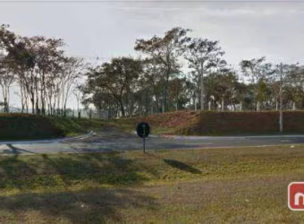Área à venda, 166000 m² por R$ 75.000.000,00 - Recreio Anhangüera - Ribeirão Preto/SP