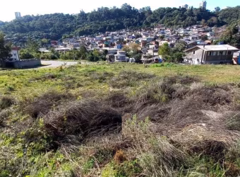 Terreno à venda na Rua Luiz Covolan, 05, Santa Catarina, Caxias do Sul, 302 m2 por R$ 150.000