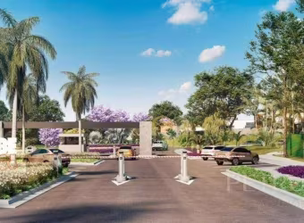 Terreno Residencial à venda, Jardim Fortaleza, Paulínia - TE3023.