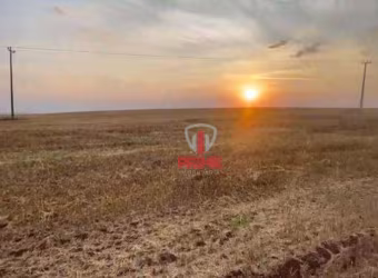Sitio à venda em Mauá da Serra no Paraná. Na beira da pista. Localização excelente, 100%  aproveitável. Reserva legal averbada na mesma bacia hidrogra