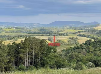 Fazenda à venda em Tamarana no PR. Com 130 alquieres, 40 alqueires aberto de plantio, 10 alqueires de pasto.  750m de altitude, com casa sede simples,