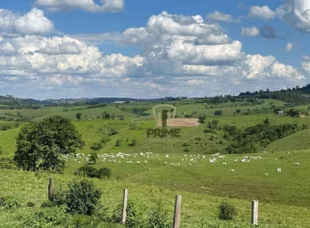 Fazenda à venda em Rosário do Ivaí - Paraná com 95 Alqueires sendo 80 Alqueires de pasto. 16 KM de Rosário do Ivaí, estuda parcelamento