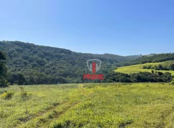Sítio à venda em Jardim Alegre no Paraná.   - Com 200 alqueires, planta 80 - 50 alqueires de Pasto.