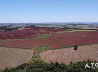 Excelente Fazenda á venda em Itai/SP