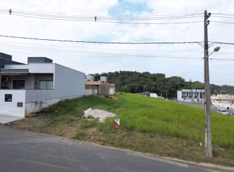 Terreno para Venda em Guaramirim / SC no bairro Rio Branco
