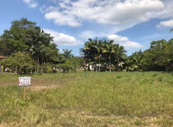 Terreno para Venda em Guaramirim / SC no bairro Corticeira