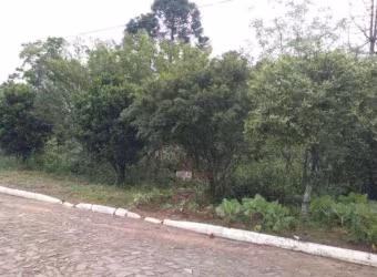 Terreno à venda - no Centro