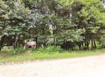 Terreno a venda no Bairro São Caetano - Balsa Nova/PR
