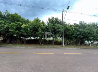 Terreno à venda na Miguel Grabowski, Passauna, Araucária por R$ 450.000
