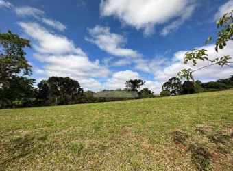 Terreno para alugar, 10050.00 m2 por R$3000.00  - Chapada - Ponta Grossa/PR