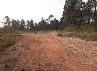 Terreno Industrial para Venda em Mairiporã, Terra Preta