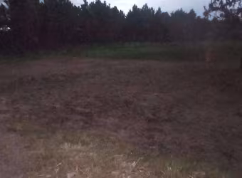 TERRENO à venda no Bairro CAPÃO NOVO