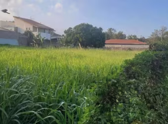 Terreno Residencial à venda, Jardim São Carlos, Campinas - TE3019.