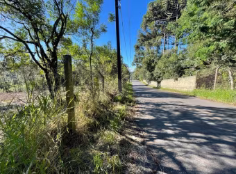 Terreno à venda no bairro Ferraria - Campo Largo/PR