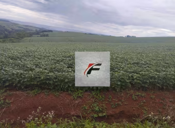 Fazenda com 3 dormitórios à venda, 871200 m² por R$ 11.263.500,00 - Centro - Guarapuava/PR