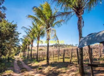 Sítio para Venda em Atibaia, Bairro da Usina, 4 dormitórios