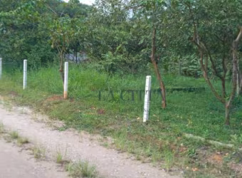 Terreno à venda, 844 m² por R$ 250.000,00 - Minas - Ilhota/SC