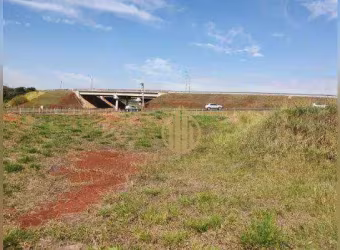 Terreno à venda, 1100 m² por R$ 1.100.000 - City Ribeirão - Ribeirão Preto/SP