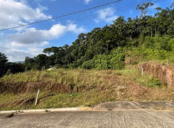 Terreno bairro Ilha da Figueira - guaramirim/SC