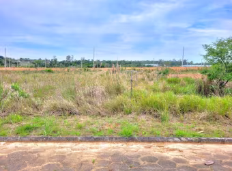 Terreno para Venda em Criciúma, Primeira Linha
