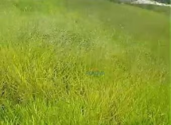 Terreno à venda, 347 m² por R$ 320.000,00 - Condomínio Residencial Mantiqueira - São José dos Campos/SP