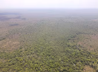 Fazenda para venda na região de Nova Nazare-MT com 836 alqueires na pecuária, boa de benfeitorias, boa de agua