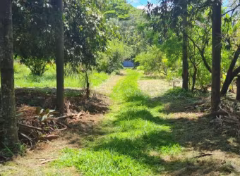 Oportunidade. Chacara para venda na Zona Leste, no Condominio Estancia Ouro Verde, com 3.453 m2, medindo 38 x 89m, muitas arvores frutiferas